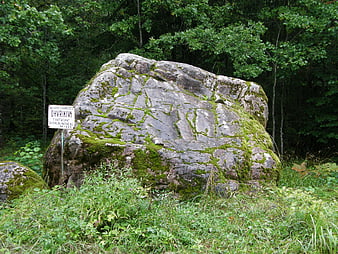 Large mossy boulder in forest with informational sign