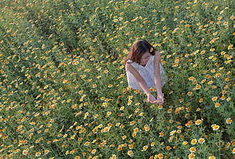 Woman Picking Flowers In A Field Of Daisies
