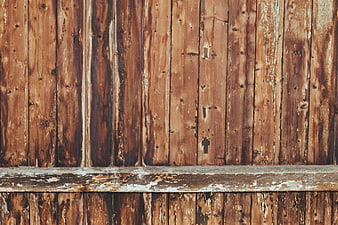 Rustic Weathered Wooden Fence with Horizontal Shelf