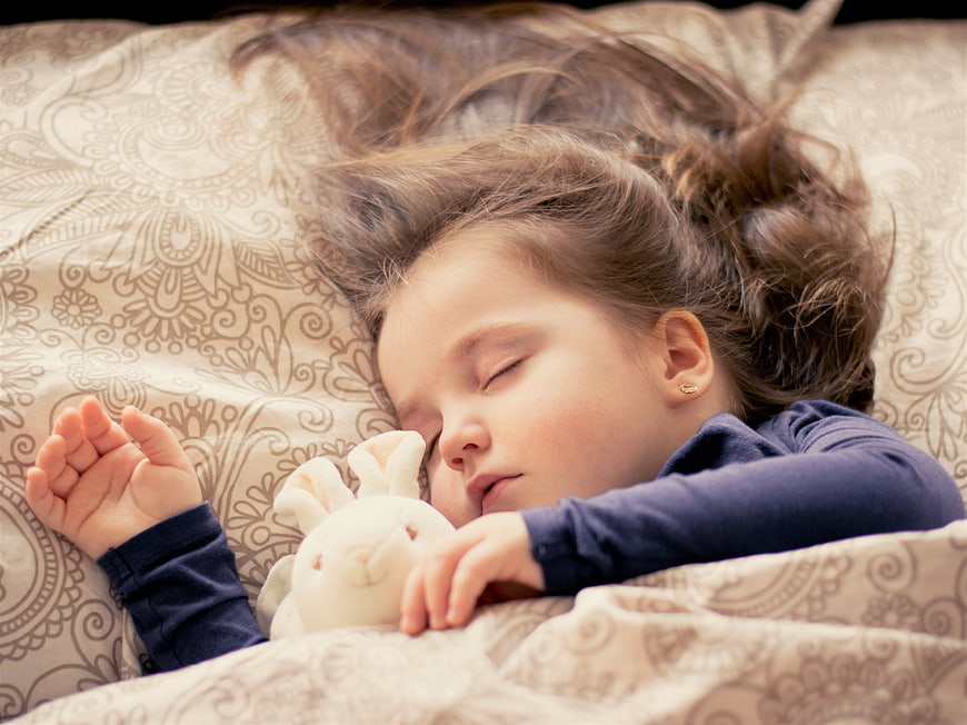 Sleeping Girl with Stuffed Bunny Toy in Bed