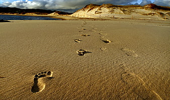 Footprints in Sand Leading to Beach Dunes
