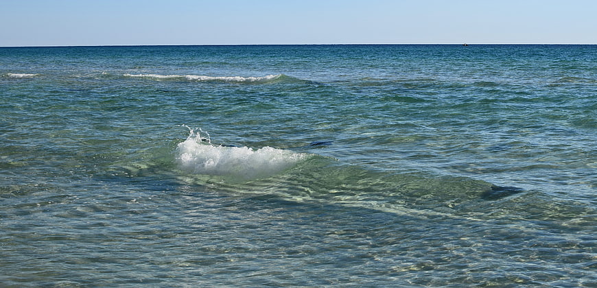Stingray swimming in clear turquoise ocean water