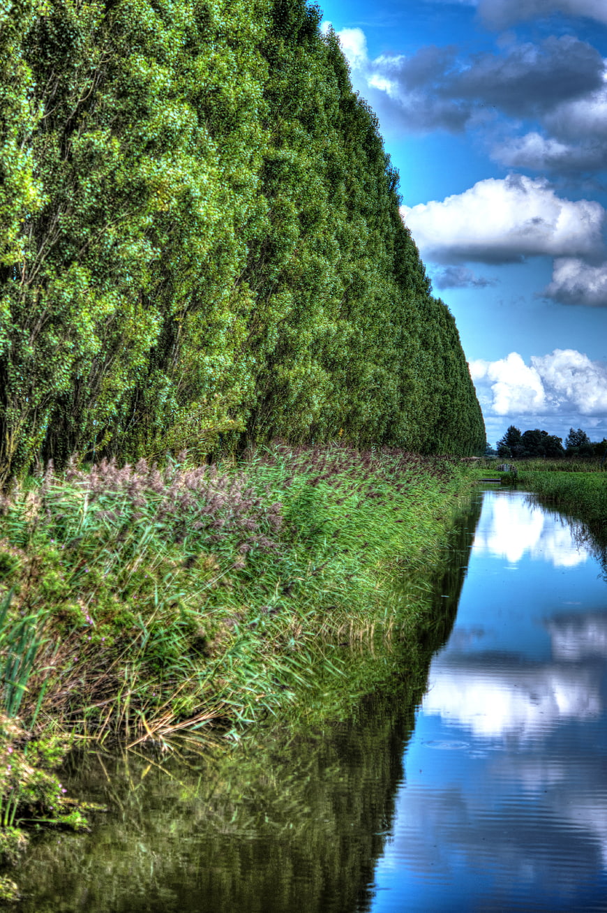 HDR Canal with Lush Green Trees and Blue Sky Reflection