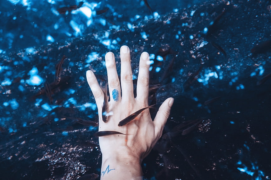 Hand Reaching Into Blue Water With Small Fish