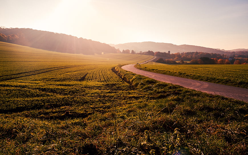 Golden Sunrise Over Rolling Countryside Fields and Winding Road