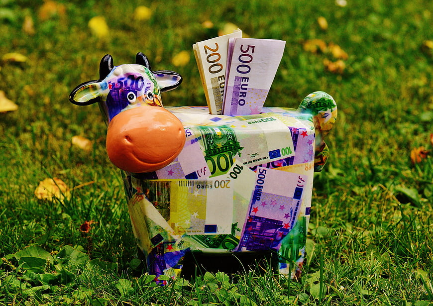 Cow-shaped piggy bank covered in euro banknotes on grass