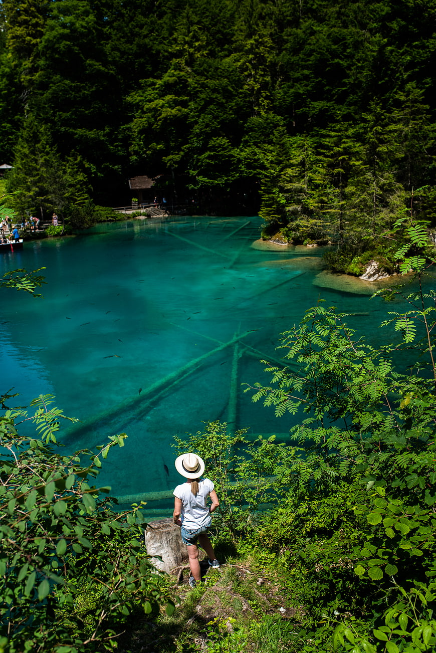 Woman in Hat Viewing Turquoise Lake with Submerged Trees