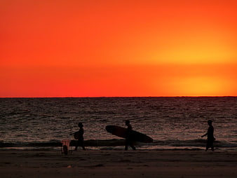 Silhouettes of surfers walking on beach at sunset