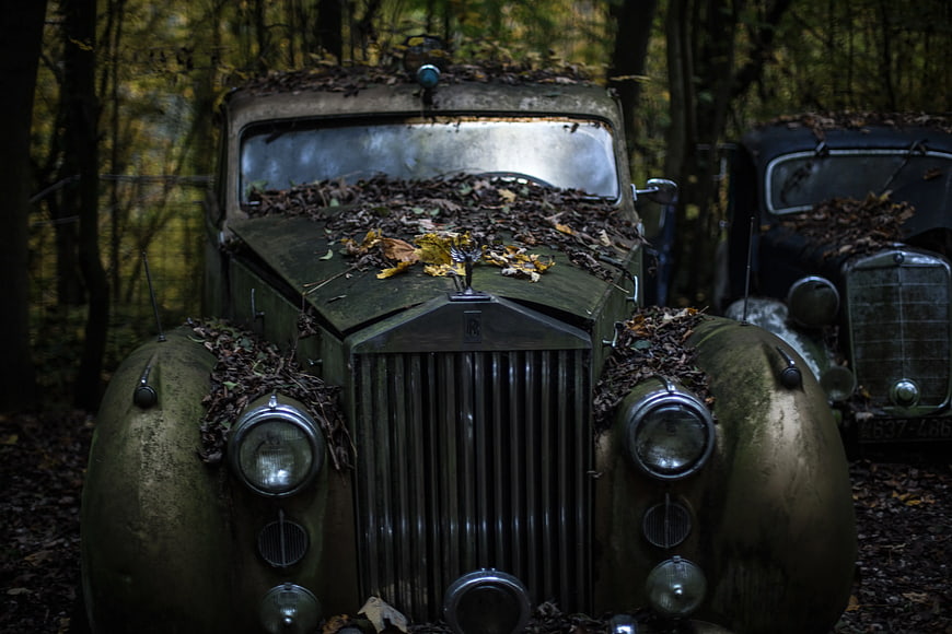 Vintage Green Rolls-Royce Abandoned in Autumn Forest