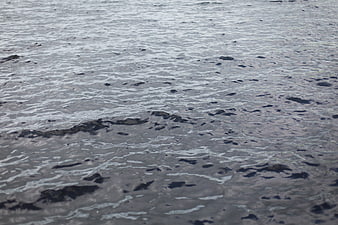 Rippled water surface texture with natural light reflections