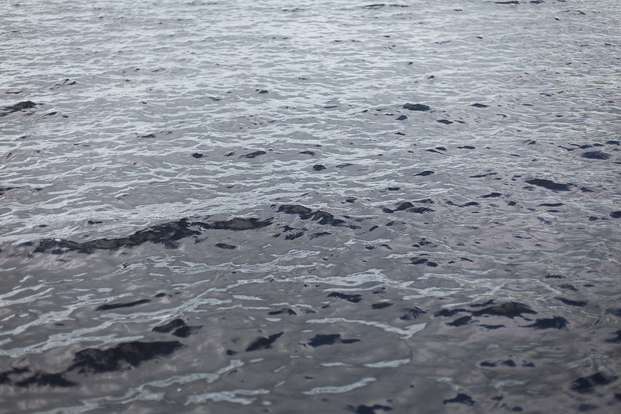 Rippled water surface texture with natural light reflections