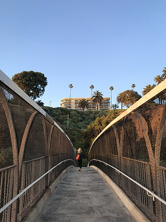 Woman Walking on Pedestrian Bridge with Palm Trees