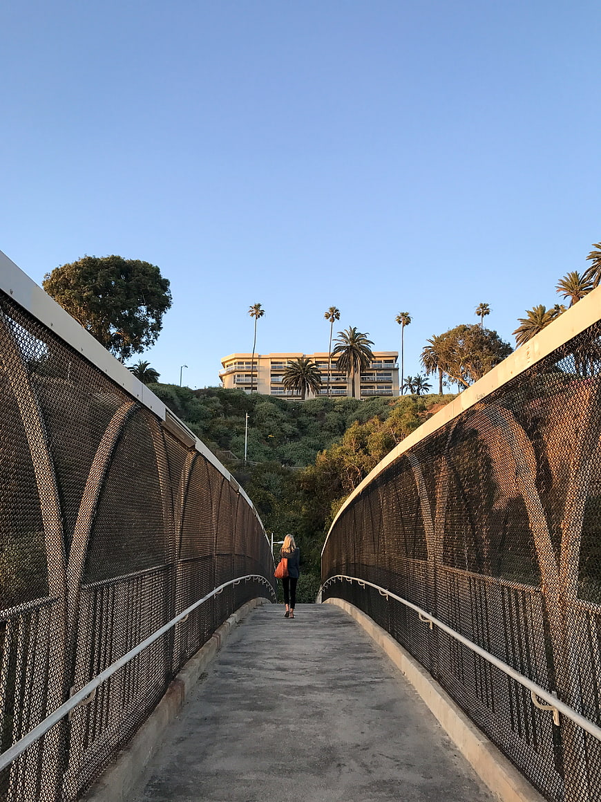 Woman Walking on Pedestrian Bridge with Palm Trees