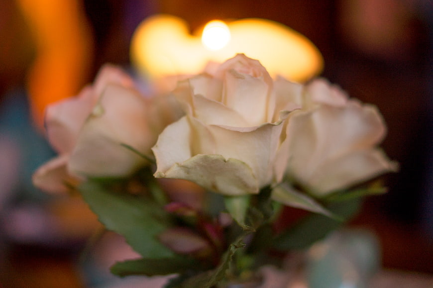 Close-up of white roses with blurred candlelight background