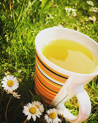 Retro striped mug with tea in sunny meadow with daisies