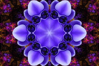 Purple floral kaleidoscope pattern with vibrant symmetry