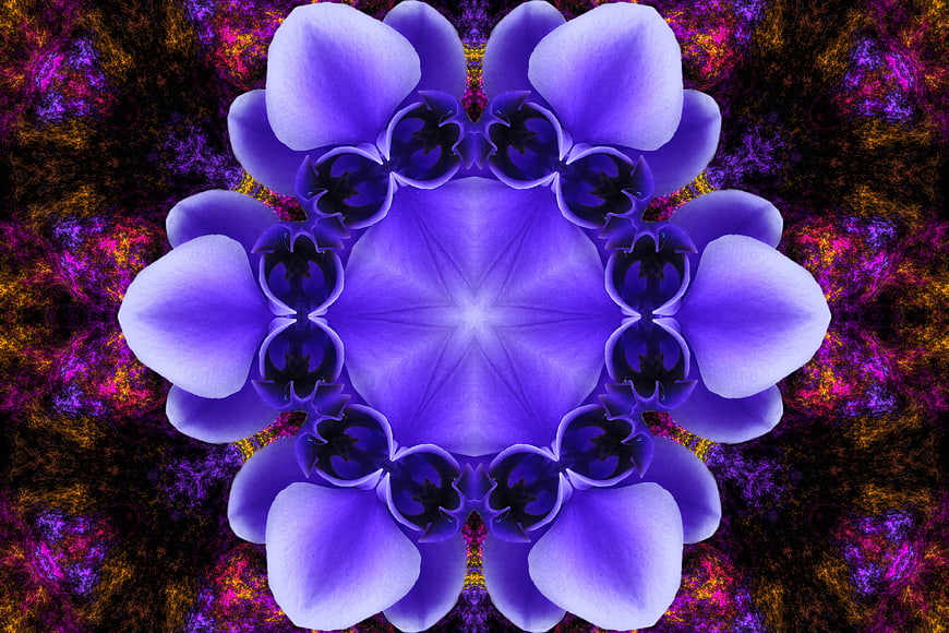 Purple floral kaleidoscope pattern with vibrant symmetry