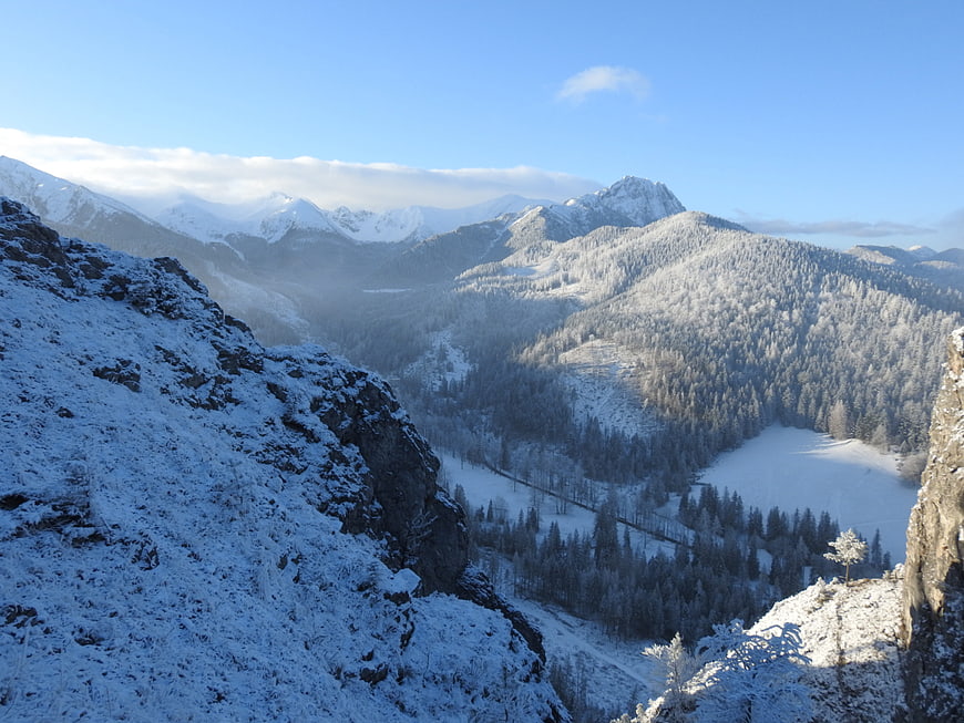 Snowy Mountain Landscape with Frozen Lake and Forest