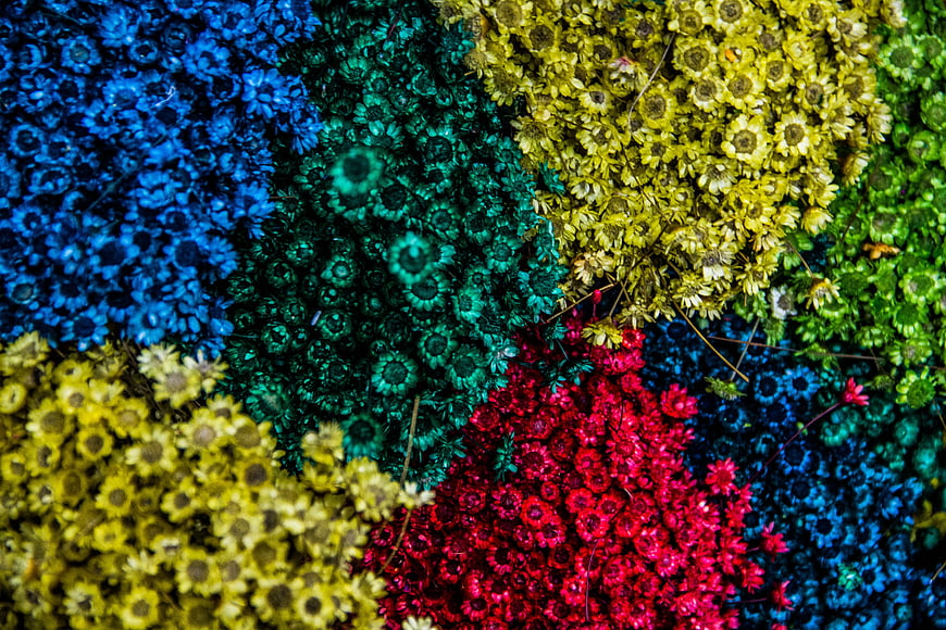 Vibrant Multicolored Dried Flowers Pattern Background