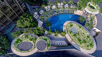 Aerial view of luxury hotel rooftop pool with tropical garden