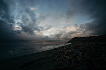 Dramatic moody sunset over a driftwood-covered beach