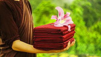 Monk holding folded red robes with pink lily flower