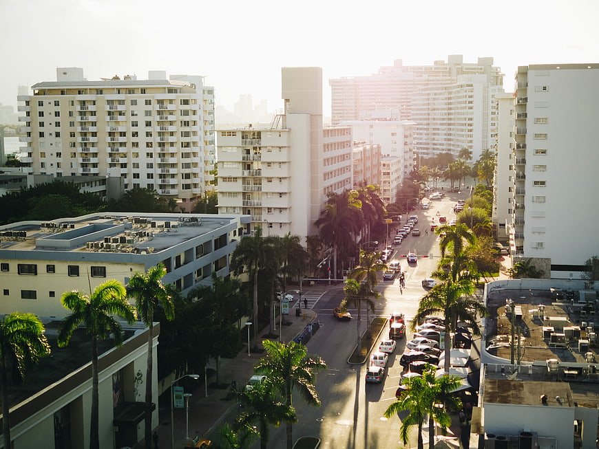 Sunlit Miami Street with Palm Trees and White Buildings