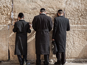 Three Hasidic Jews Praying at the Western Wall