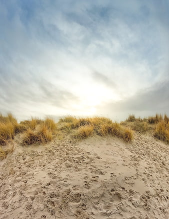 Sandy dune path with beach grass and cloudy sky