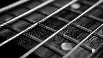 Close-up of bass guitar strings on fretboard