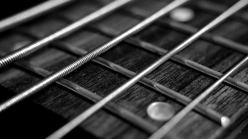 Close-up of bass guitar strings on fretboard