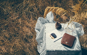 Autumn picnic setup with leather pouch and dried grass