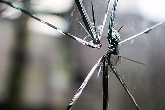 Close-up of shattered glass with radial cracks and splintered edges
