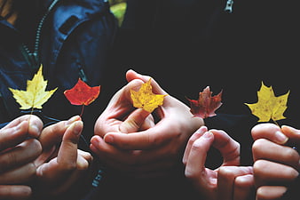 Children holding colorful autumn maple leaves