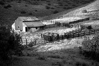 Black and white photo of rustic barn and fences on hillside