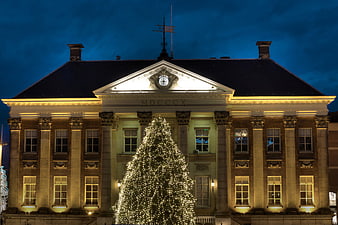 Illuminated Christmas Tree in Front of Historic Groningen Town Hall
