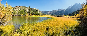 Panoramic autumn landscape with golden grass, lake, and mountains