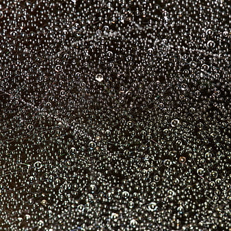 Macro photography of dew drops on a spider web