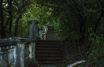Old stone staircase winding through dense green forest