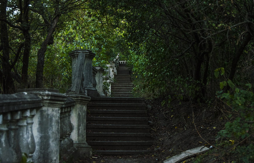 Old stone staircase winding through dense green forest