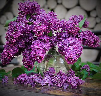 Purple Lilac Flowers In Glass Vase On Wooden Table
