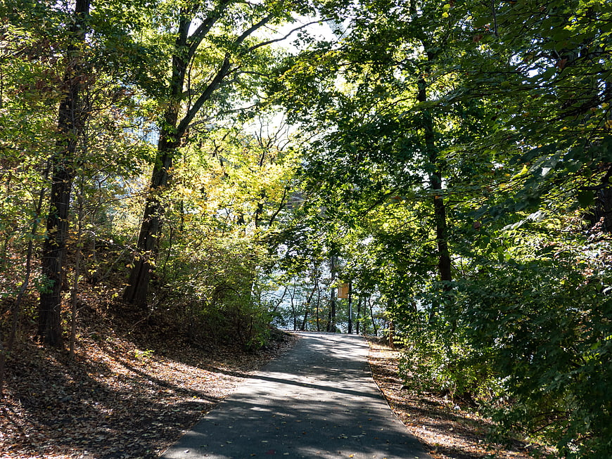 Sunlit paved path winding through green forest park