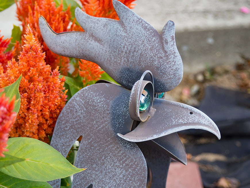 Metal Rooster Garden Sculpture with Orange Celosia Flowers