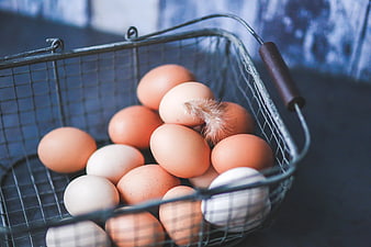 Fresh brown and white eggs in a wire basket with a feather