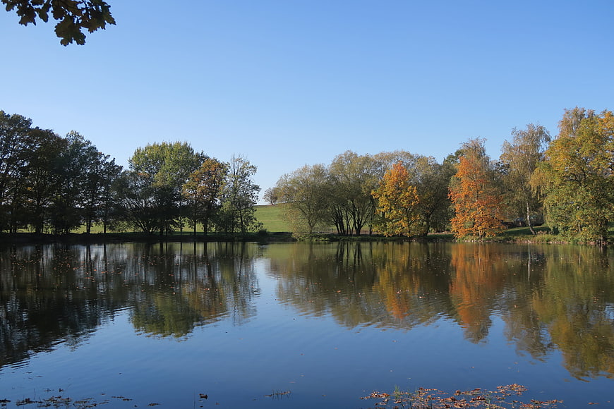 Serene Autumn Lake with Colorful Trees and Reflections
