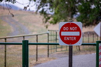 Red Do Not Enter Sign on Green Gate