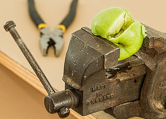Green apple crushed in a vintage metal bench vise