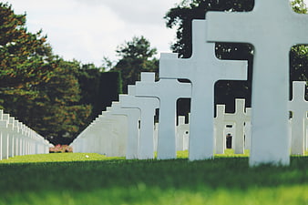 Rows of white crosses in a military cemetery