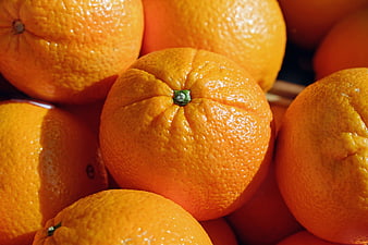 Close-up of fresh ripe oranges with textured skin