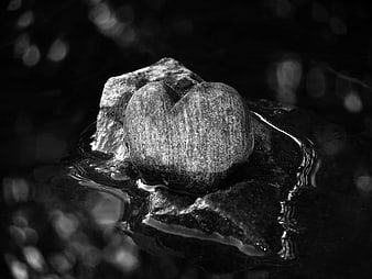Heart-shaped stone in water black and white